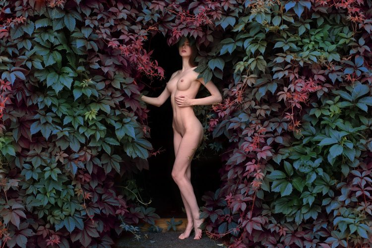 Gennady Lange Disha Shemetova