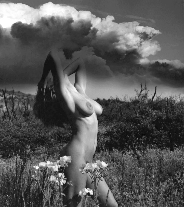 Anita Ekberg, Simvl Simvl (1950)