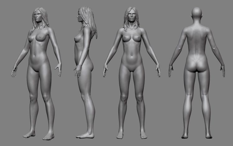 Naked female body reference