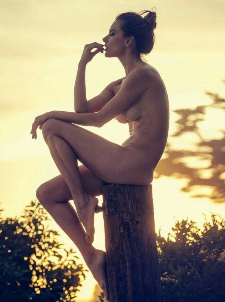 Alessandra Ambrosio +18