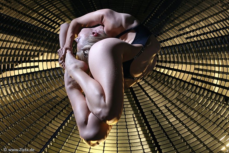 Hard anal with gymnast