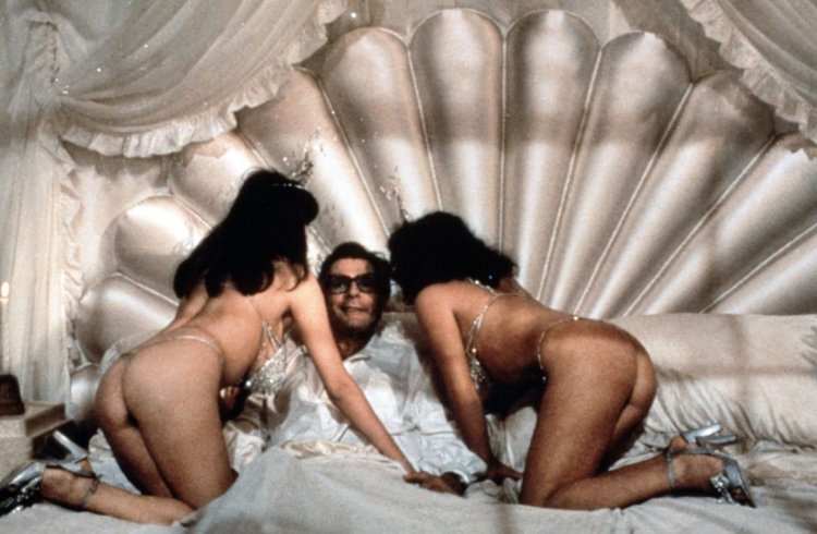 Donatella Damiani now