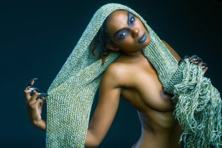 Photo artists in the genre of nude pubis