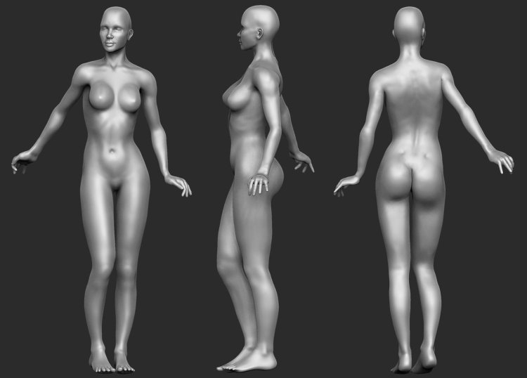 3D anatomy of girls xxx