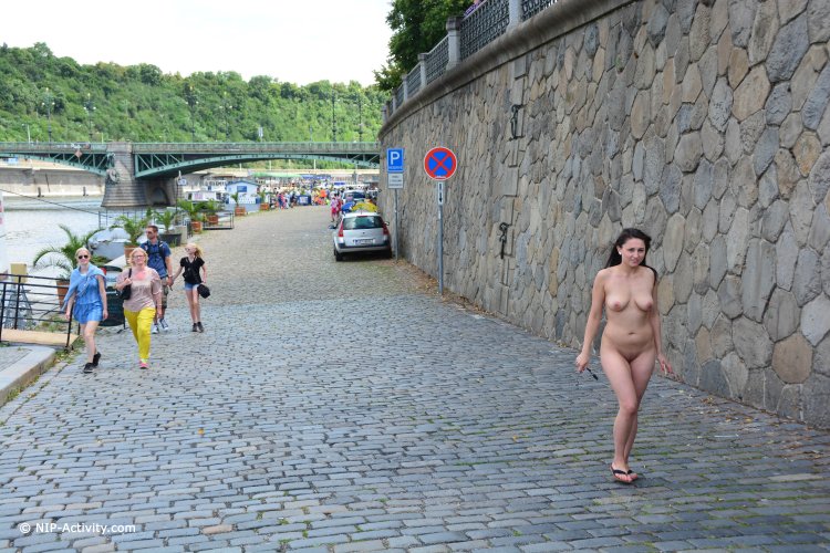 Models from the NIP Activity studio