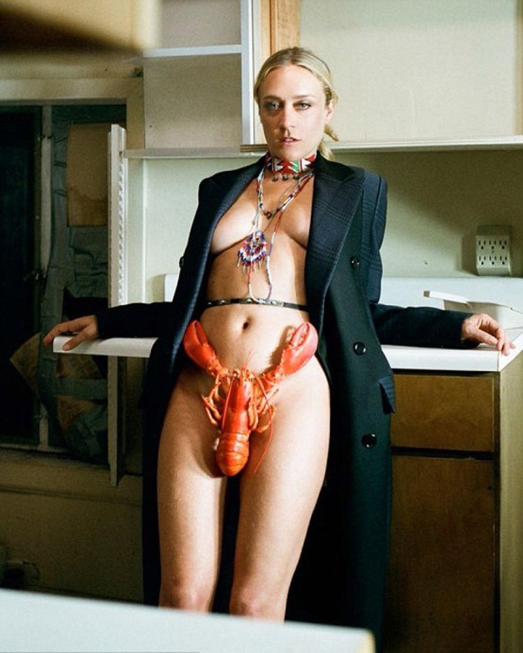 Chloe Sevigny movies brown rabbit