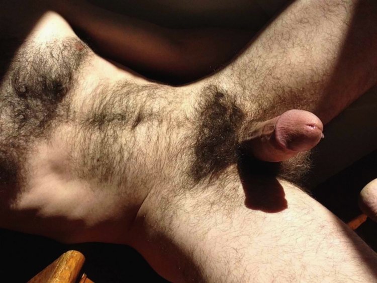 Beautiful naked hairy guys