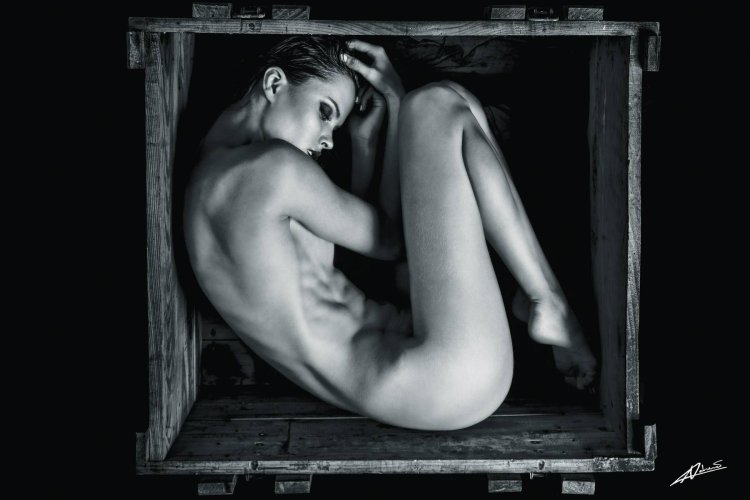 Haley Etwell Carter Tits