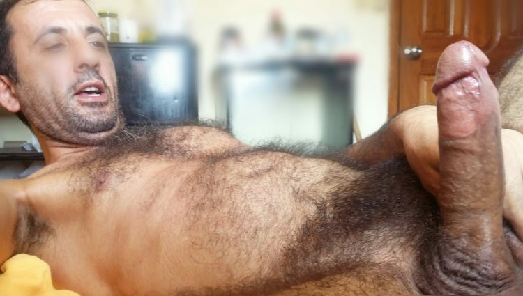 Beautiful male hairy cock