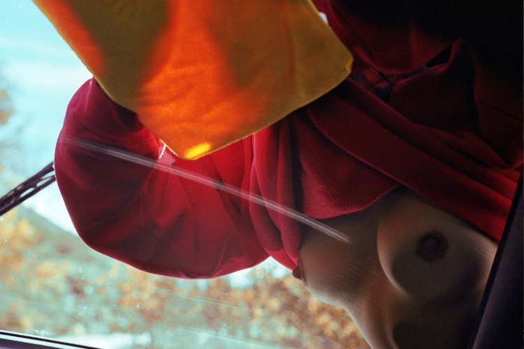 Willa Holland stolen