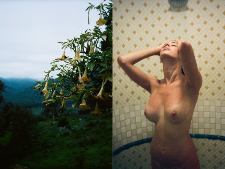 Naked beauties are private