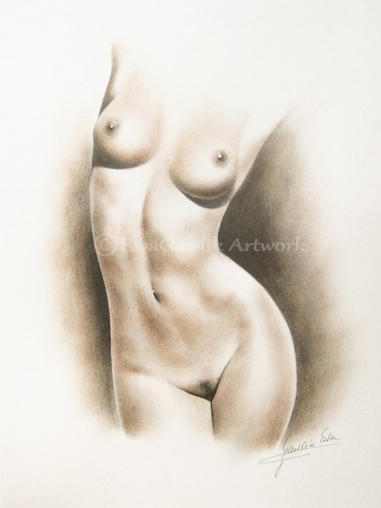 Erotic drawings with a pencil