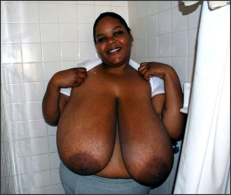 Macomastia Black Tits