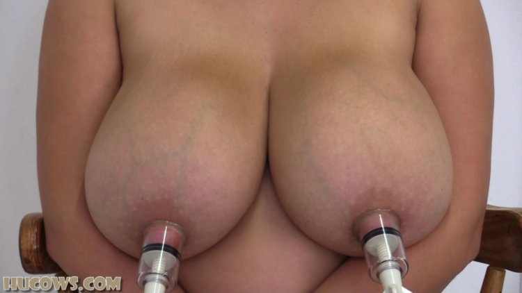 BDSM machine with milking apparatus