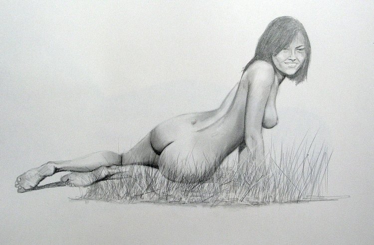 Erotic drawings of the female body