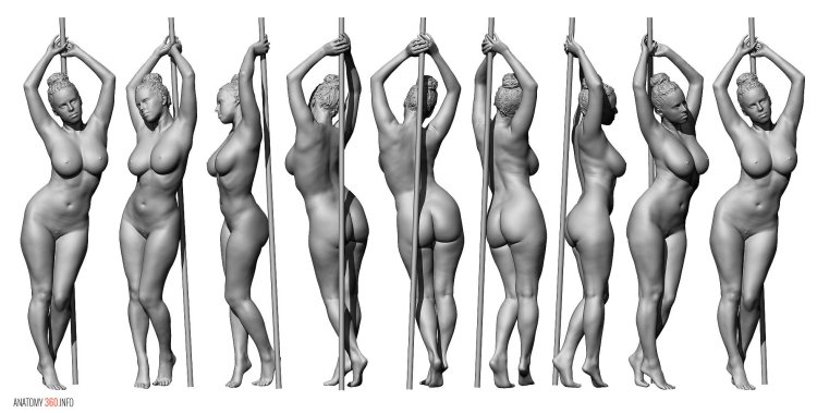 Beautiful female figures nude