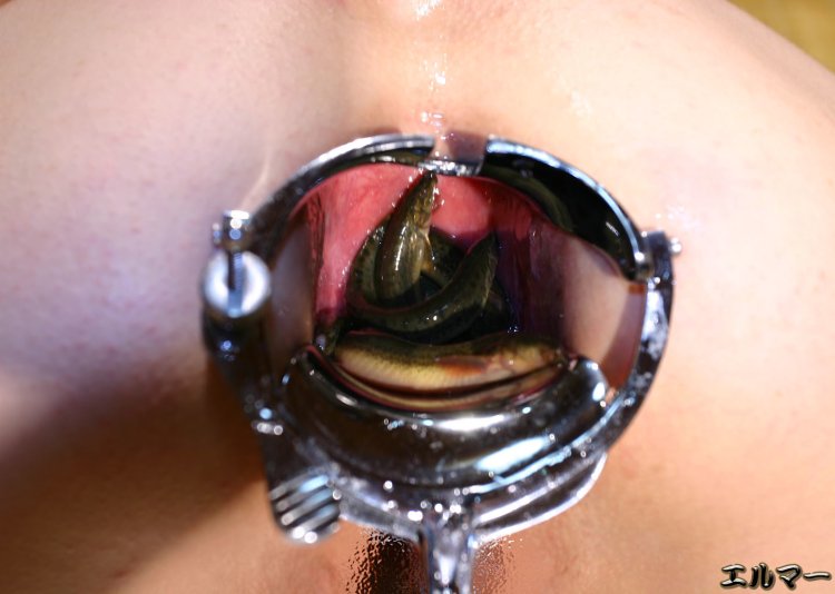 The mouse in the vagina of the girl