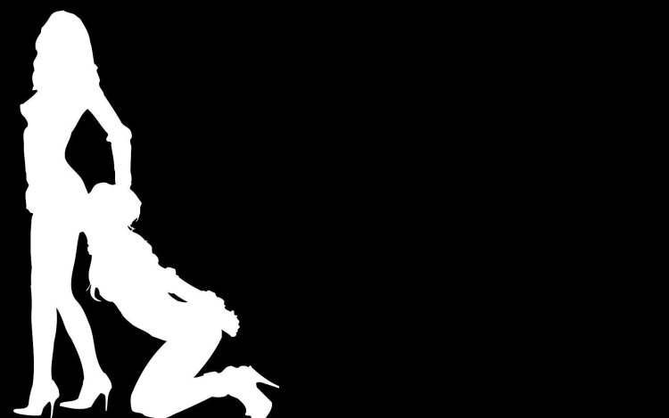 Erotic silhouettes GIF