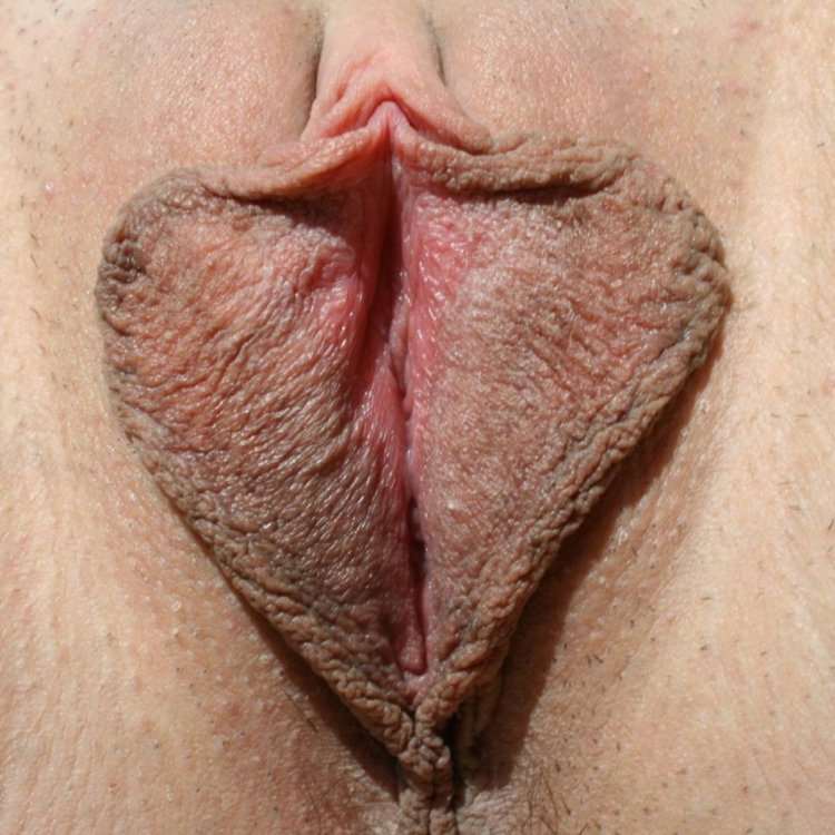Very beautiful labia