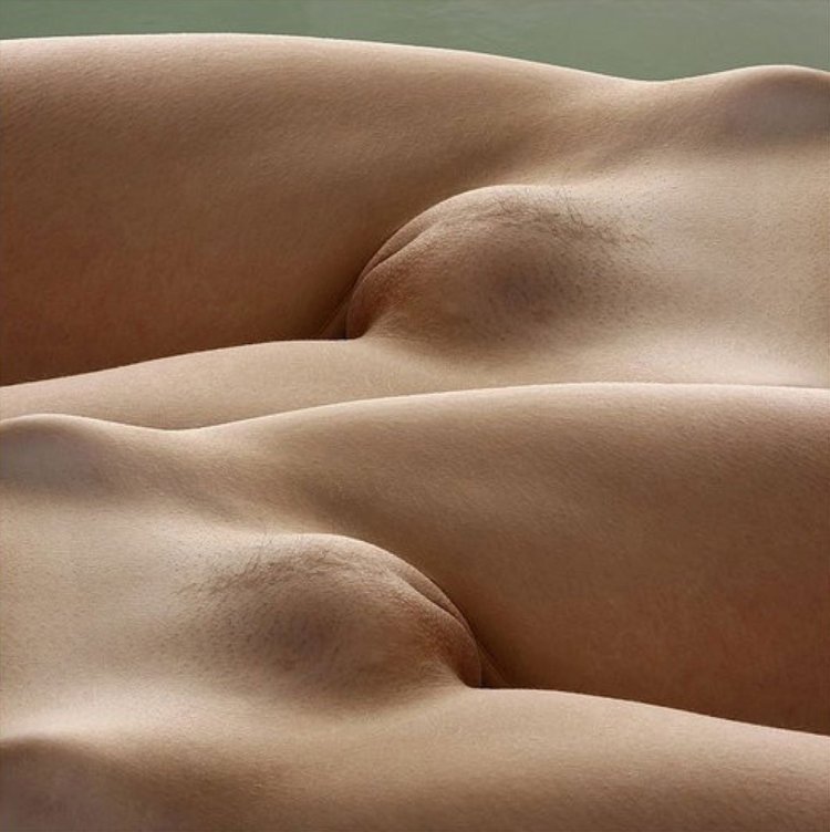 Venin Bugor Mons Veneris