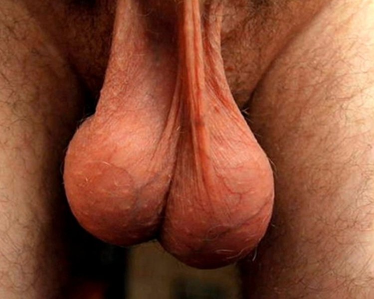 Big penis with large eggs