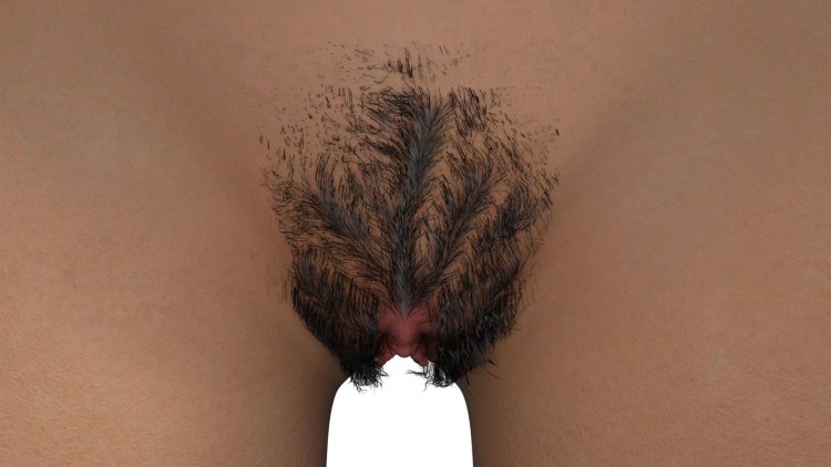 Pubic hair women's hairstyles