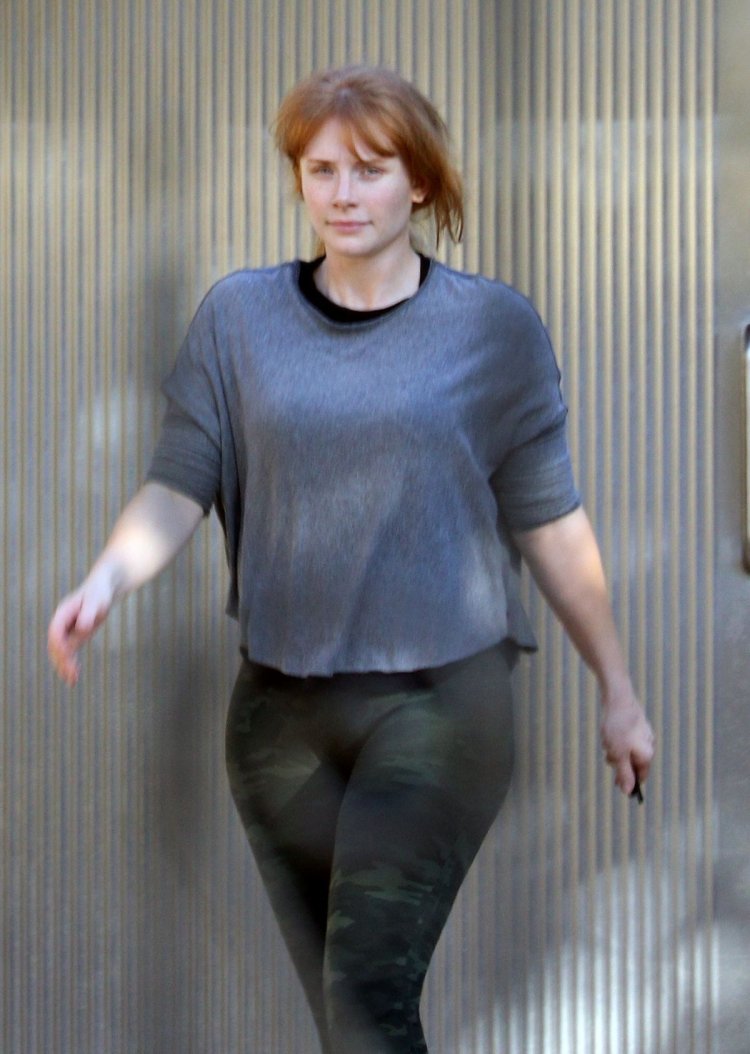 Bryce Howard Howard