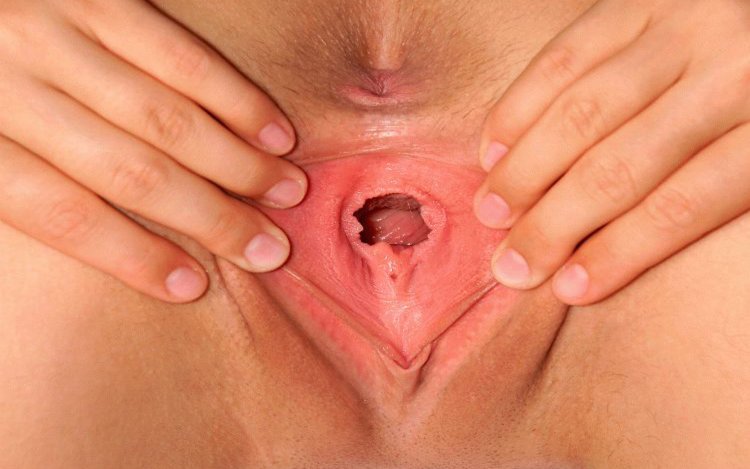 Beautiful little vaginas