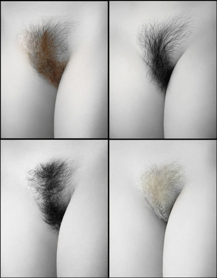 Women's pubis with white hair