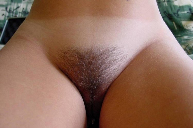 Hairy pubes under panties