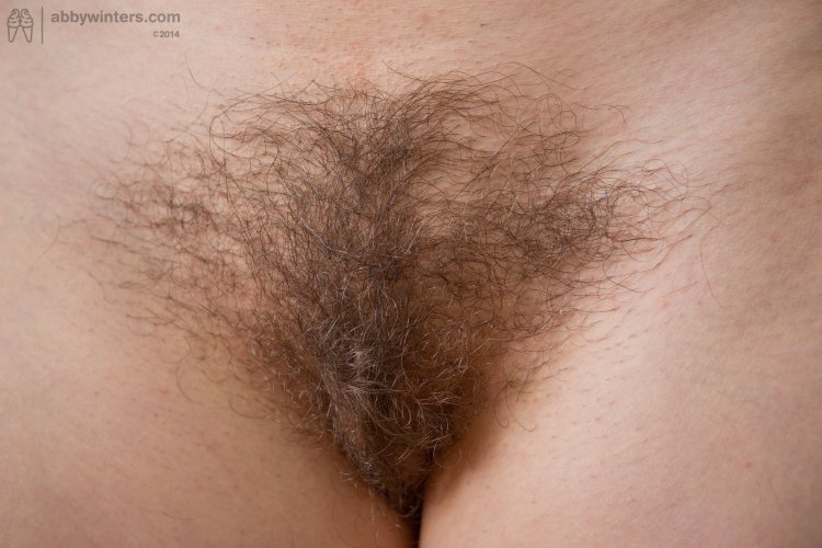 Light hair on the pubis