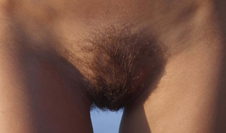 Beautiful curly pubis