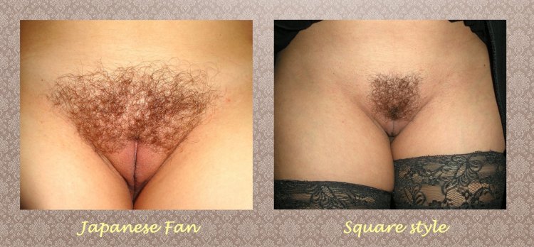 Intimate hairstyles in women