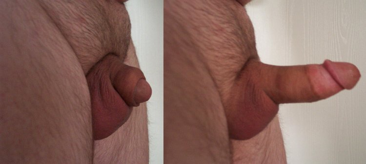 Beautiful cock in a beautiful vagina