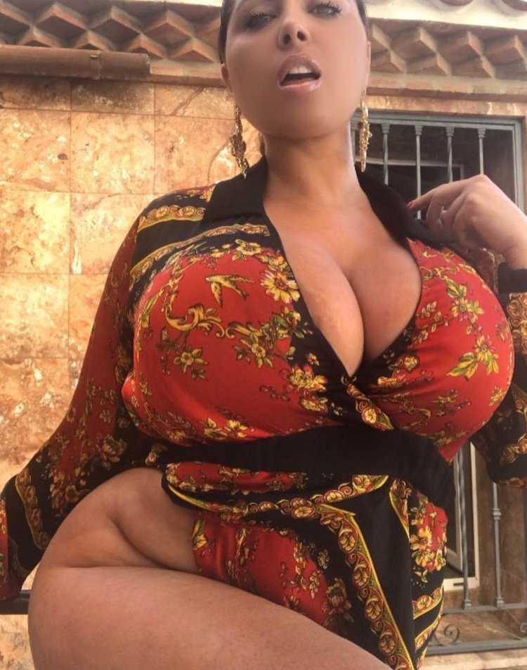 Steisi dollars model