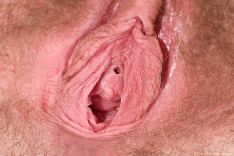 Women's vagina of a virgin