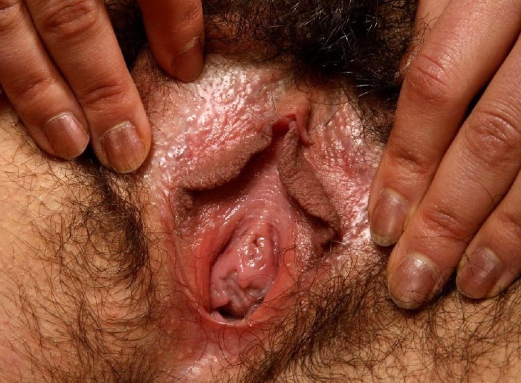 Latin hairy pussy