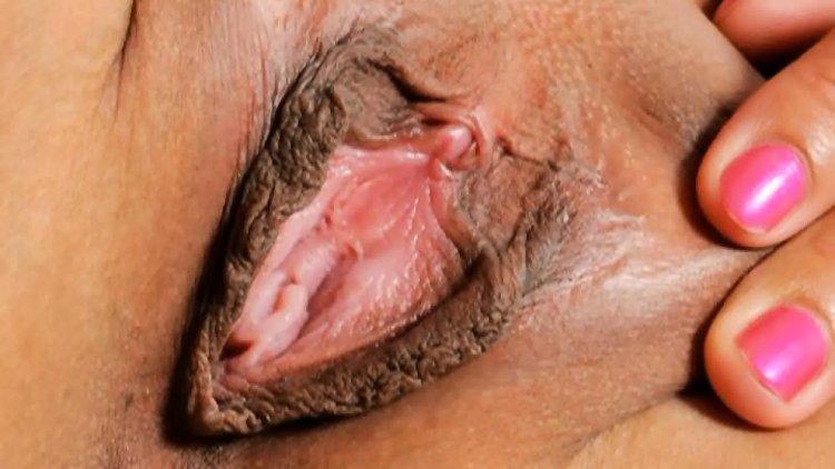 Women's pussy close -up