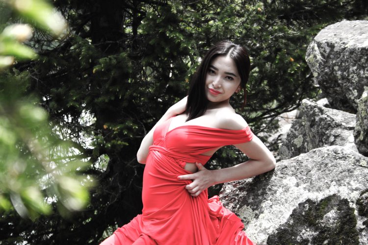 BPW 295x430 shock absorber