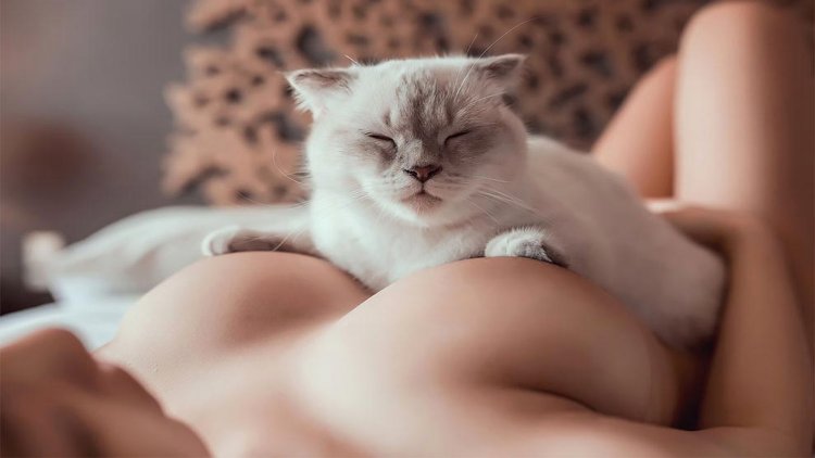 Beautiful pussies of girls