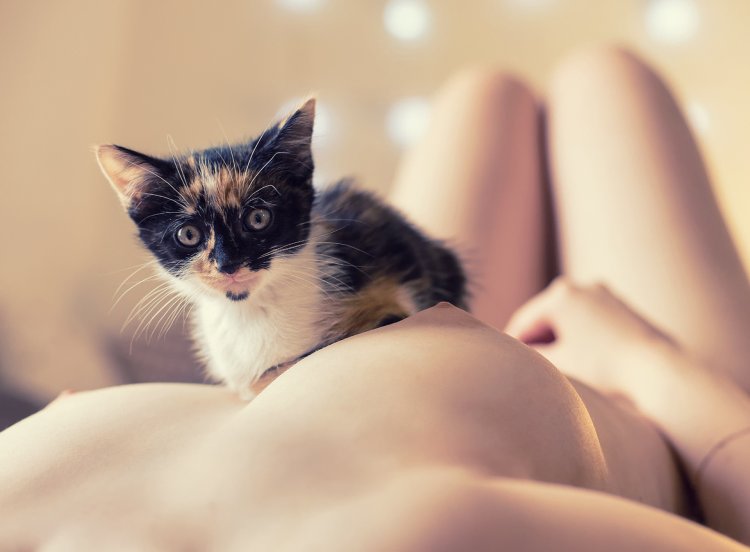 Beautiful pussies of girls