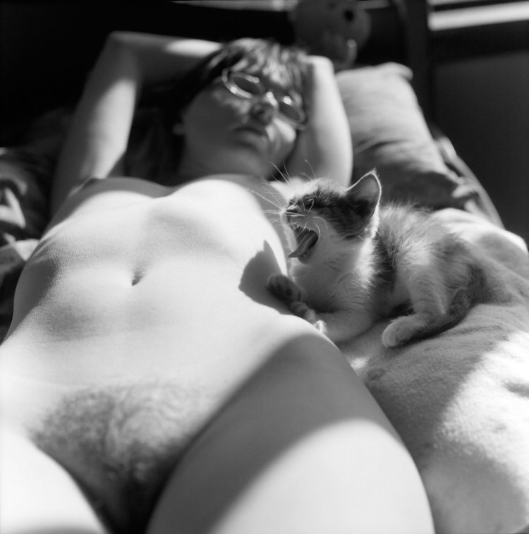 Erotic photos with cats