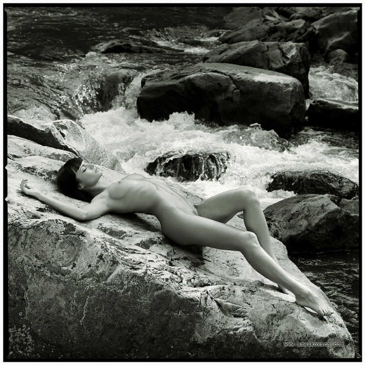 What is a bosom in a woman