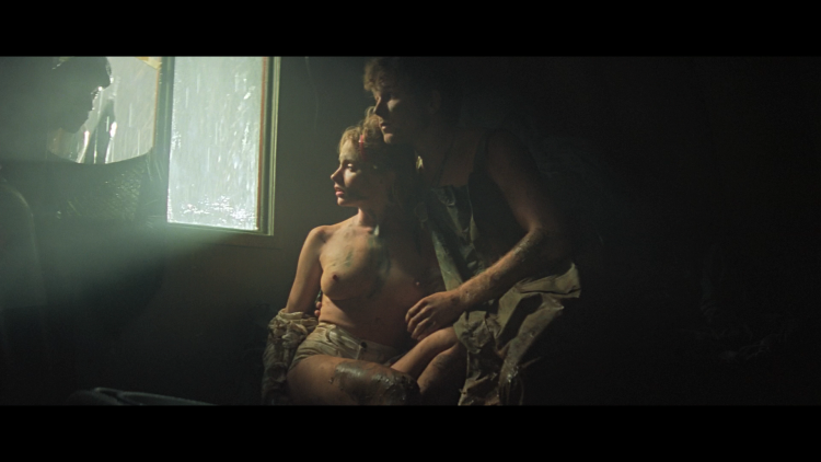 Cynthia Wood Apocalypse