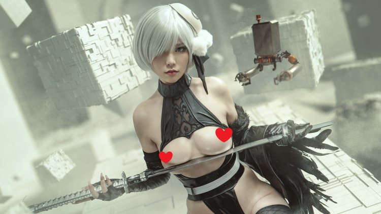 Figure 2b from Nier: Automata naked