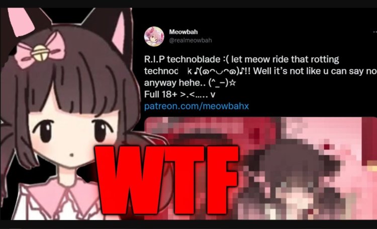 Meowbahh Technoblade