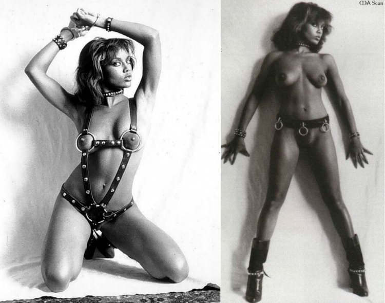 Vanessa Williams Penthouse 1984