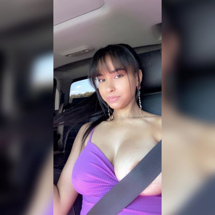 Safety belt and chest