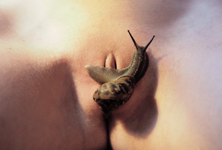 Snails on women's tits