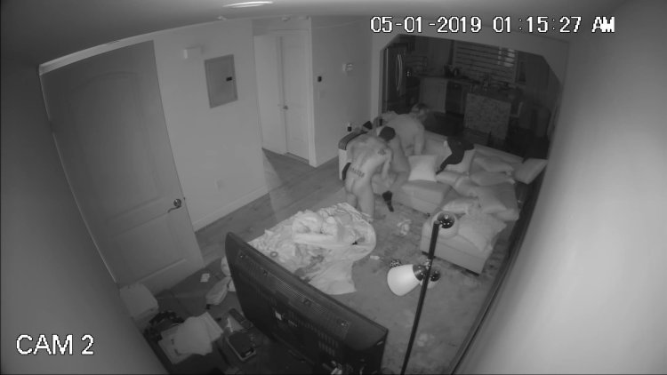 Happy observation cameras